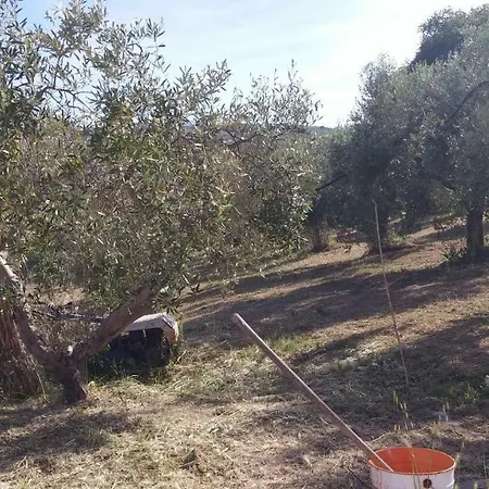 Domus Quarticelli Costa Dei Trabocchi Appartement