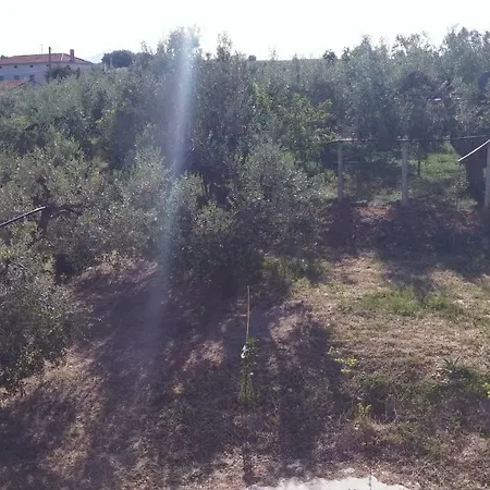 Appartement Domus Quarticelli Costa Dei Trabocchi *