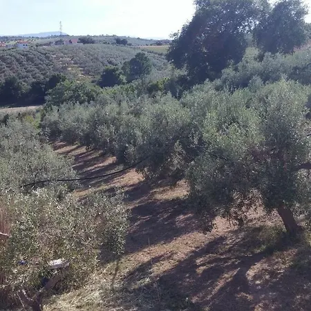 Domus Quarticelli Costa Dei Trabocchi Appartement