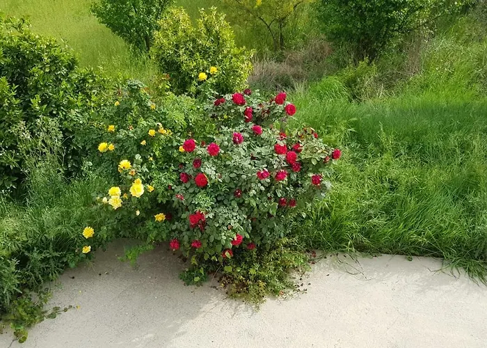 Domus Quarticelli Costa Dei Trabocchi * Torino di Sangro