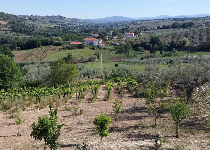 Apartamento Domus Quarticelli Costa Dei Trabocchi Torino di Sangro