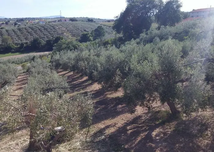Domus Quarticelli Costa Dei Trabocchi Apartman